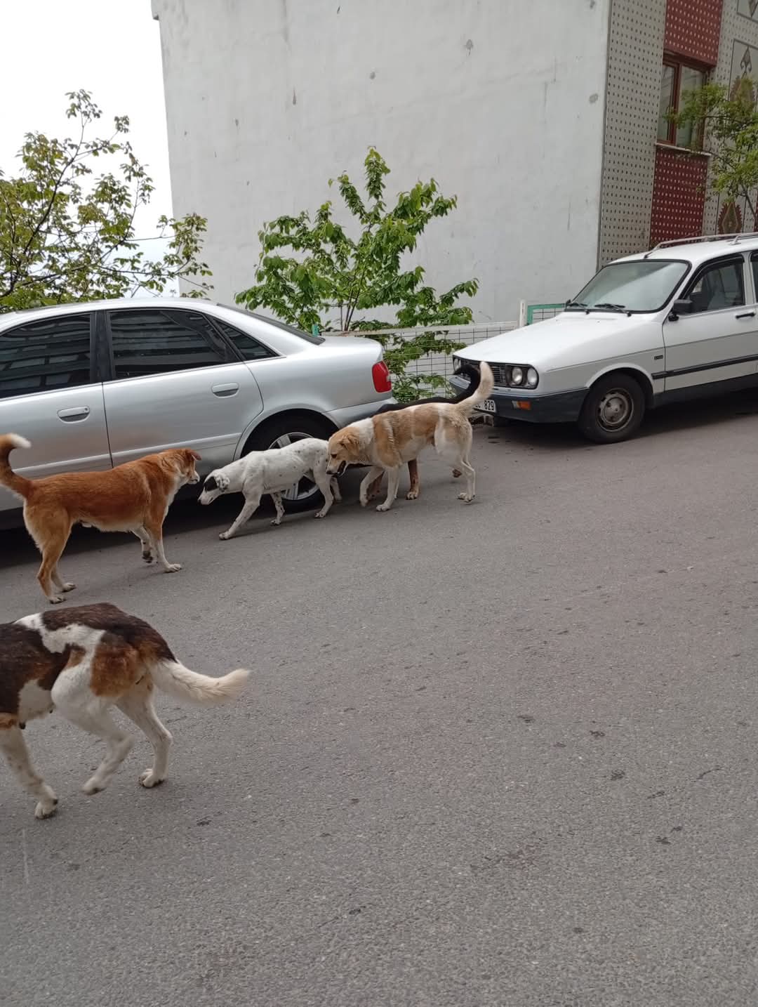 Whatsapp Image 2025 05 12 At 13.15.40