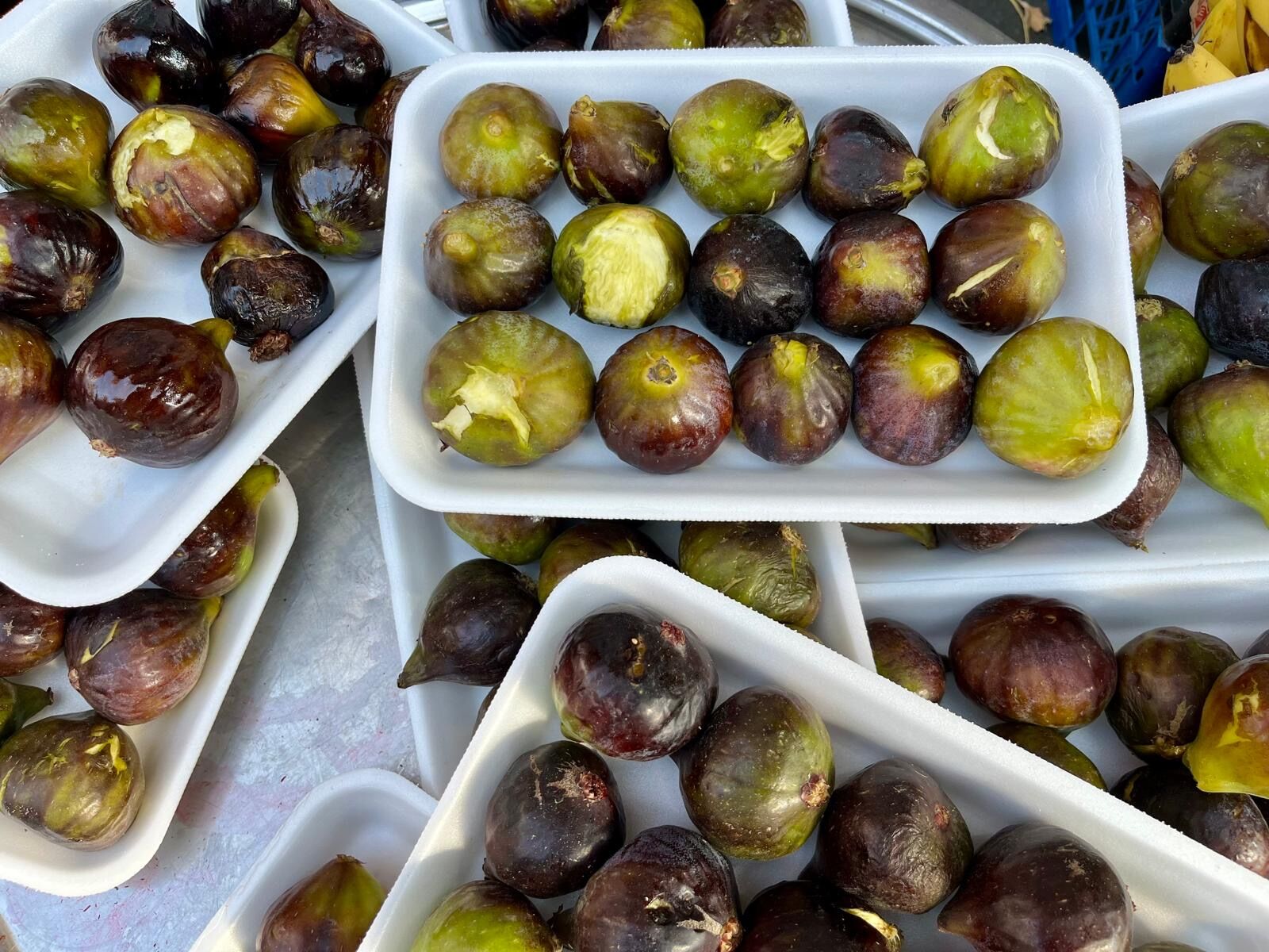 03830C89 32C6 4Fca 9592 2F88E060Bd8B