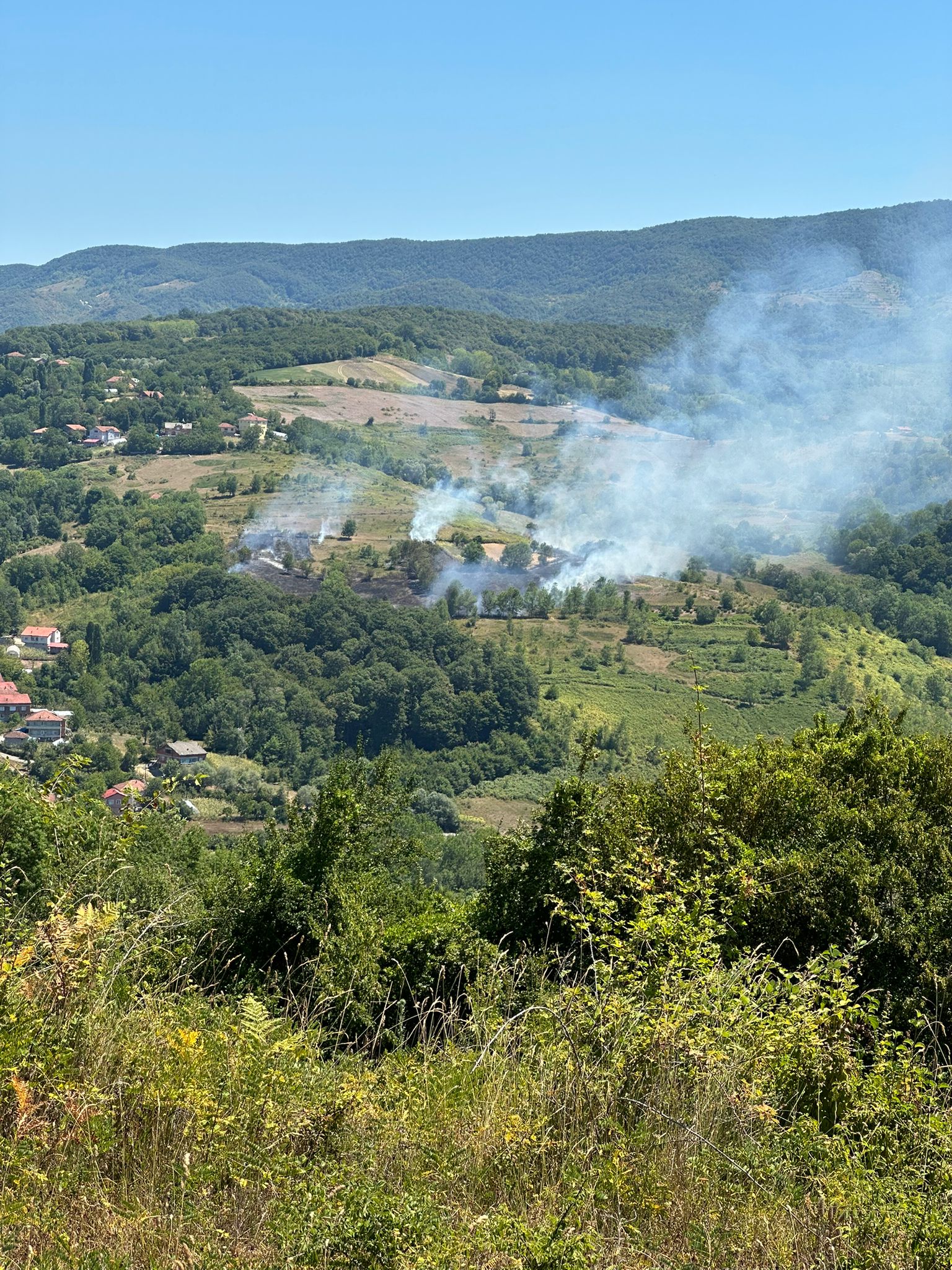Çaycuma'daki Yangında Son Durum! (3)