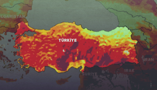 Ekran Görüntüsü 2025 07 24 200752