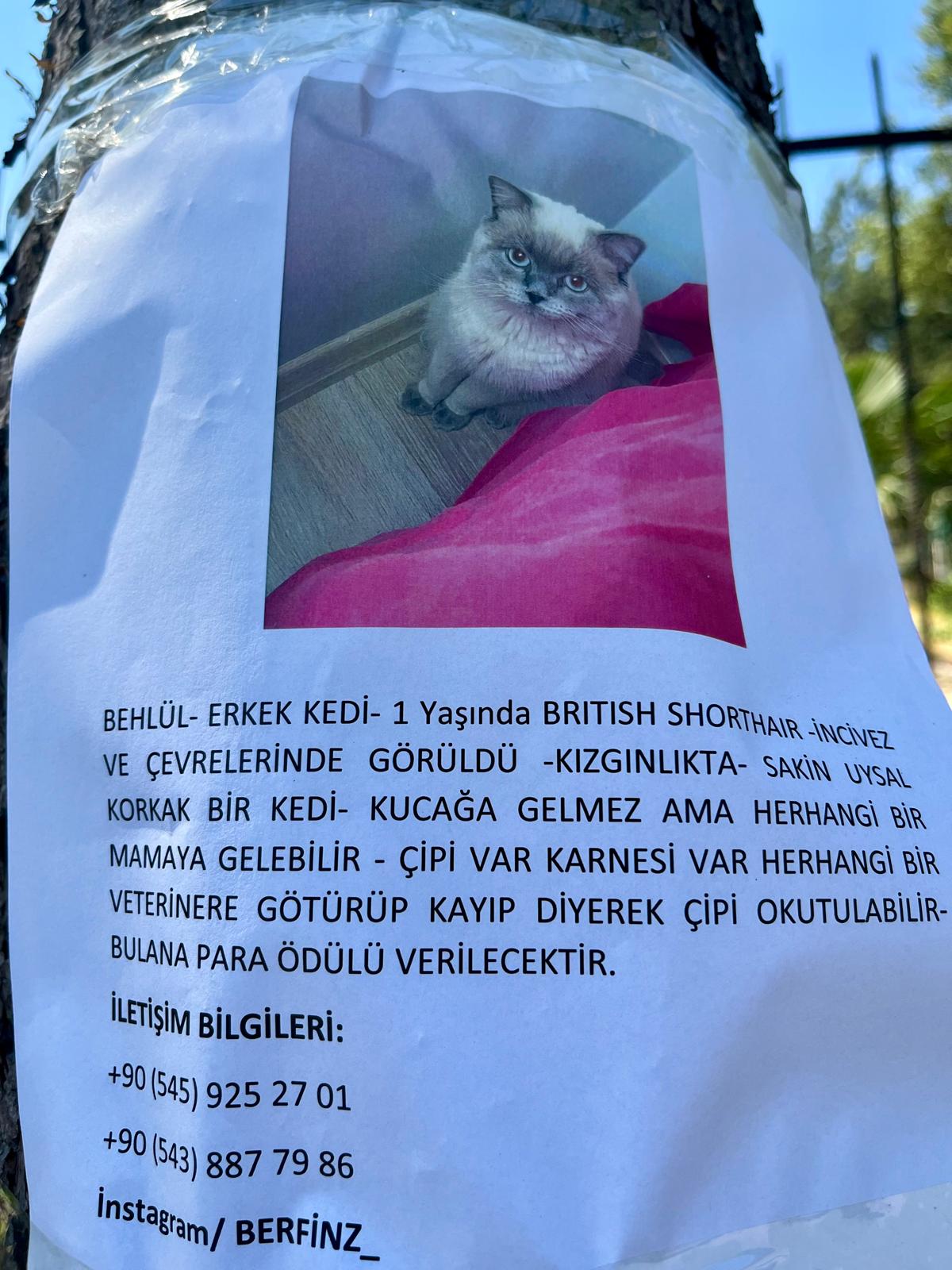 Whatsapp Görsel 2025 07 15 Saat 13.23.09 1De6Ca10