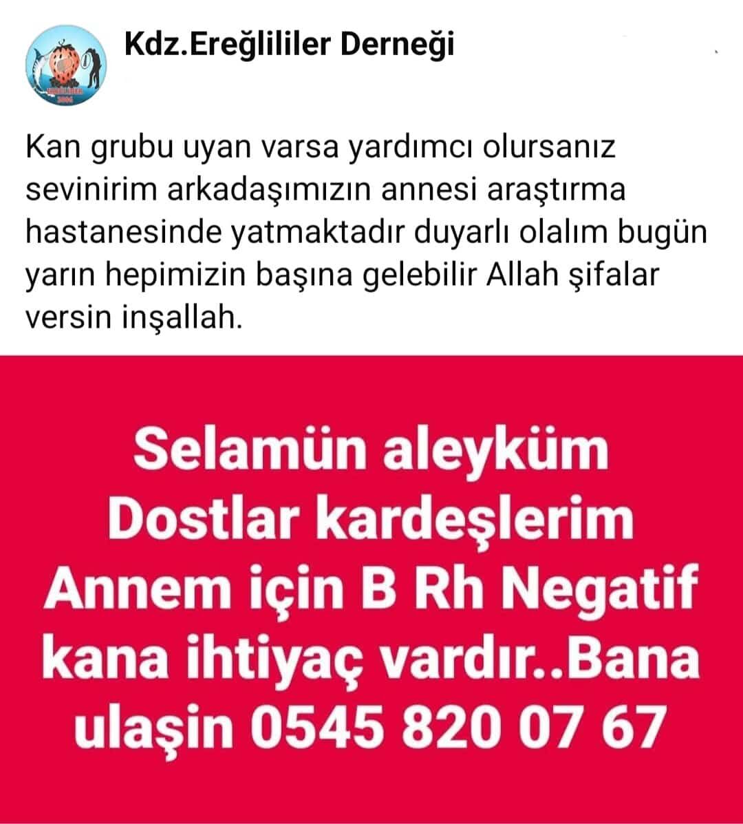 Whatsapp Image 2025 07 01 At 12.31.09