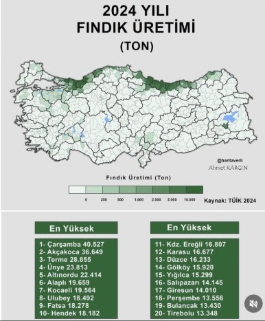 FINDIKTA KRALLAR DEĞİŞİYOR MU? ZONGULDAK'TAN ÇARPICI VERİLER!