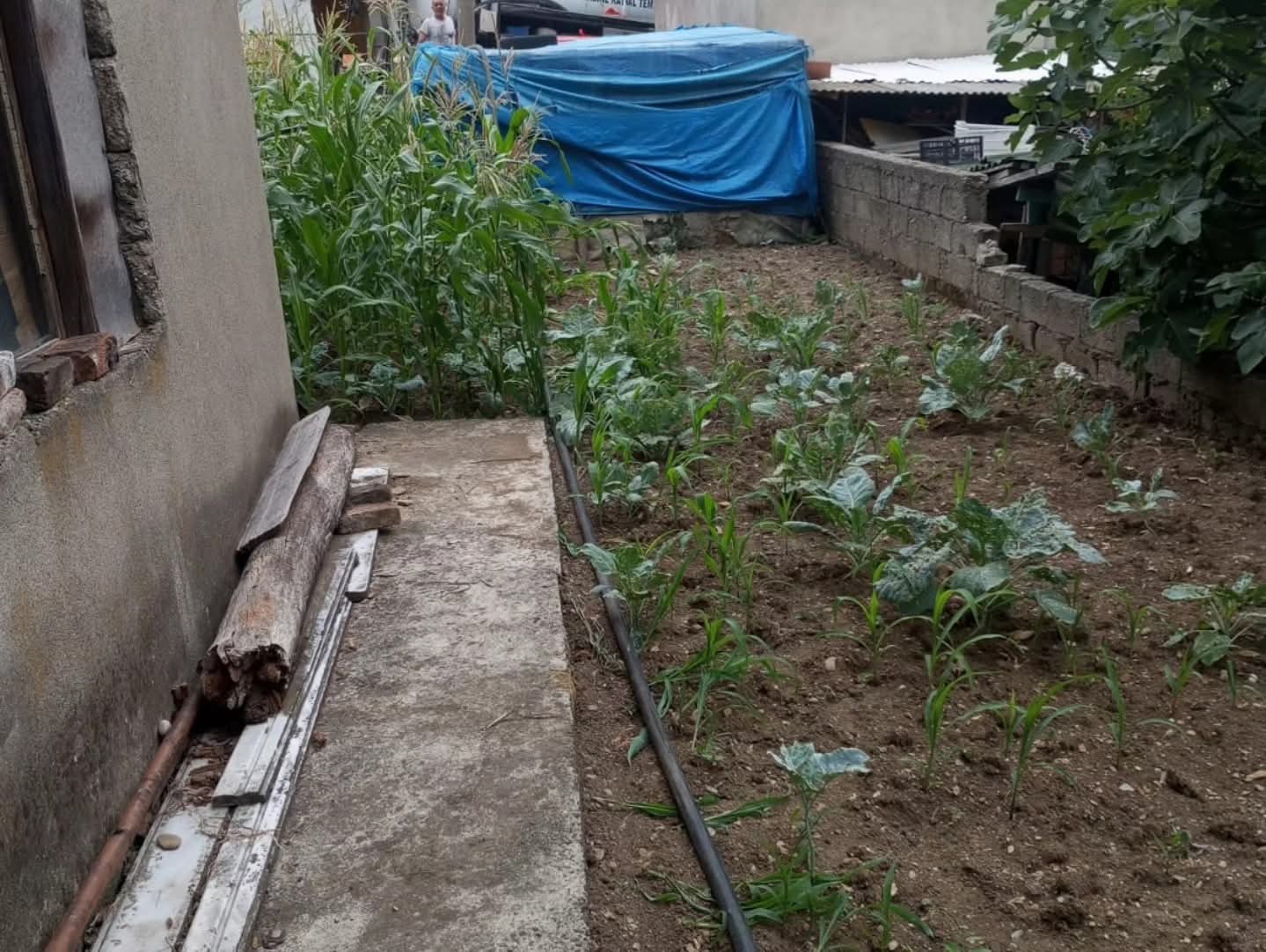 Whatsapp Image 2025 07 16 At 11.11.00 (1)