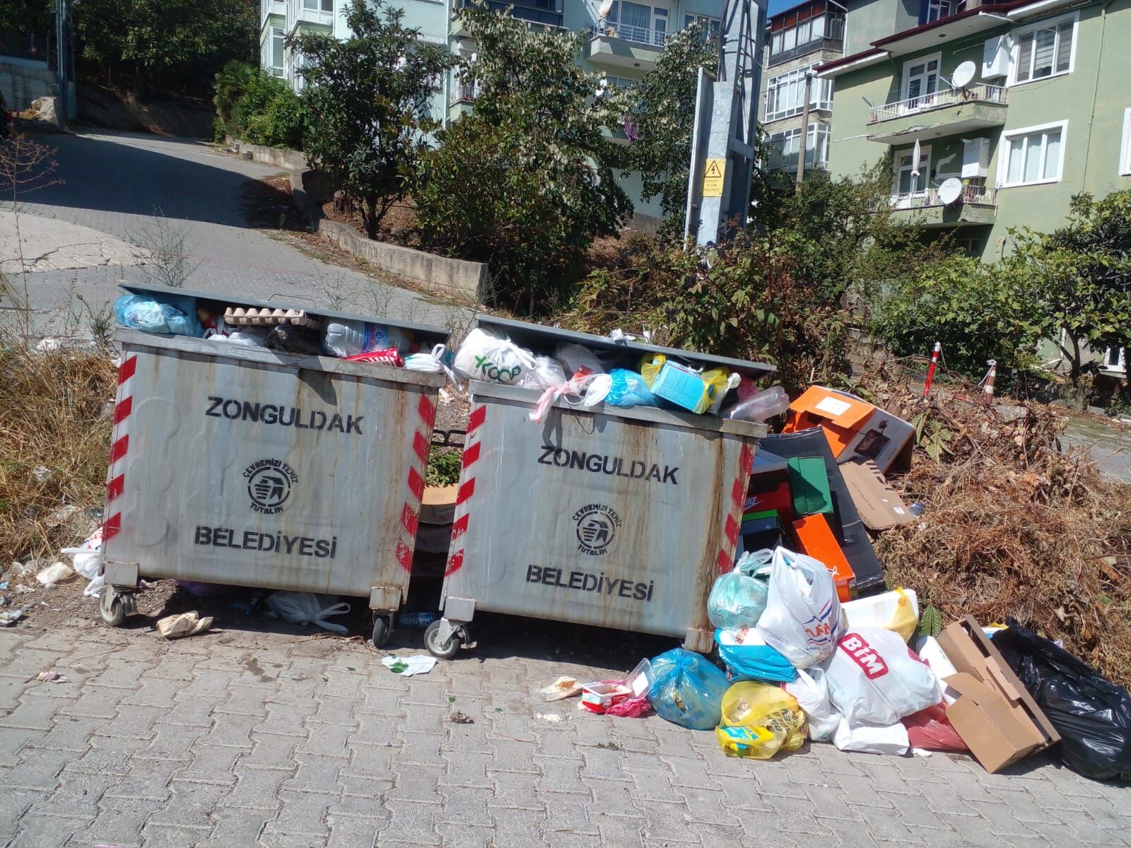 Whatsapp Image 2025 09 12 At 12.47.48