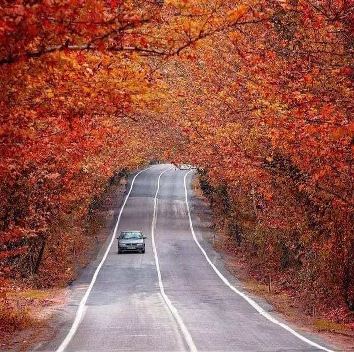 Fotoğraf tutkunlarının gözdesi