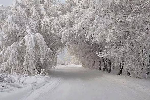 Doğaseverler ve fotoğraf meraklıları, bu eşsiz manzarayı ölümsüzleştirmek için bölgeye akın ediyor.