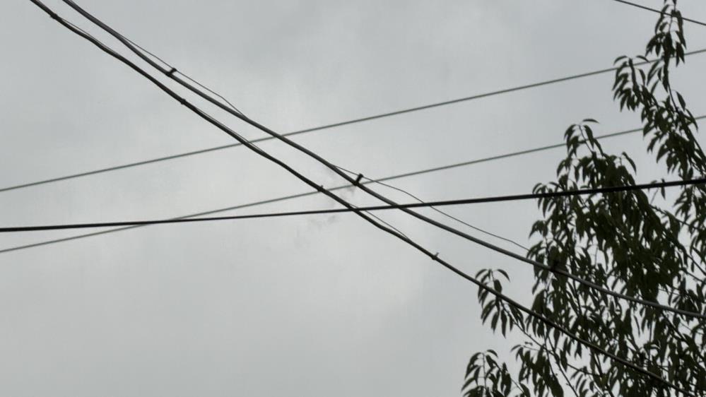 A W555563 03