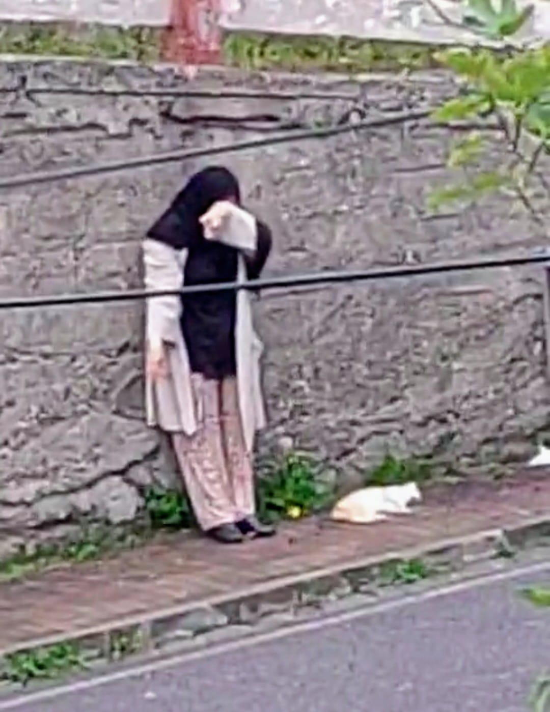 Ea6F9E85 3F3A 44F7 B09F 5F7Ded052B15