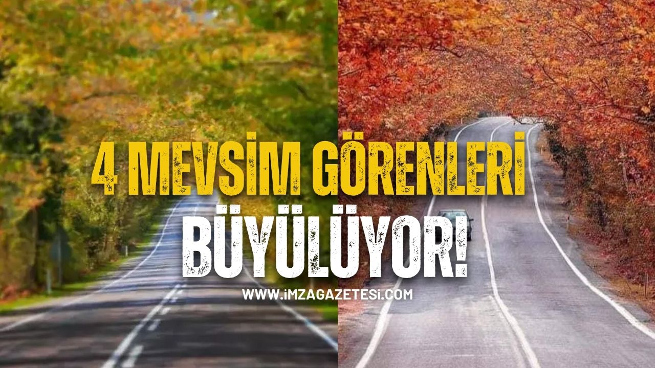 Karabük-Bartın Arasındaki Ağaç Tünelleri Görenleri Büyülüyor...