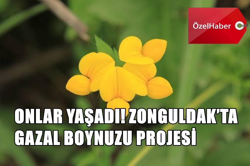 Whatsapp Image 2025 10 20 At 11.53.38 (1)
