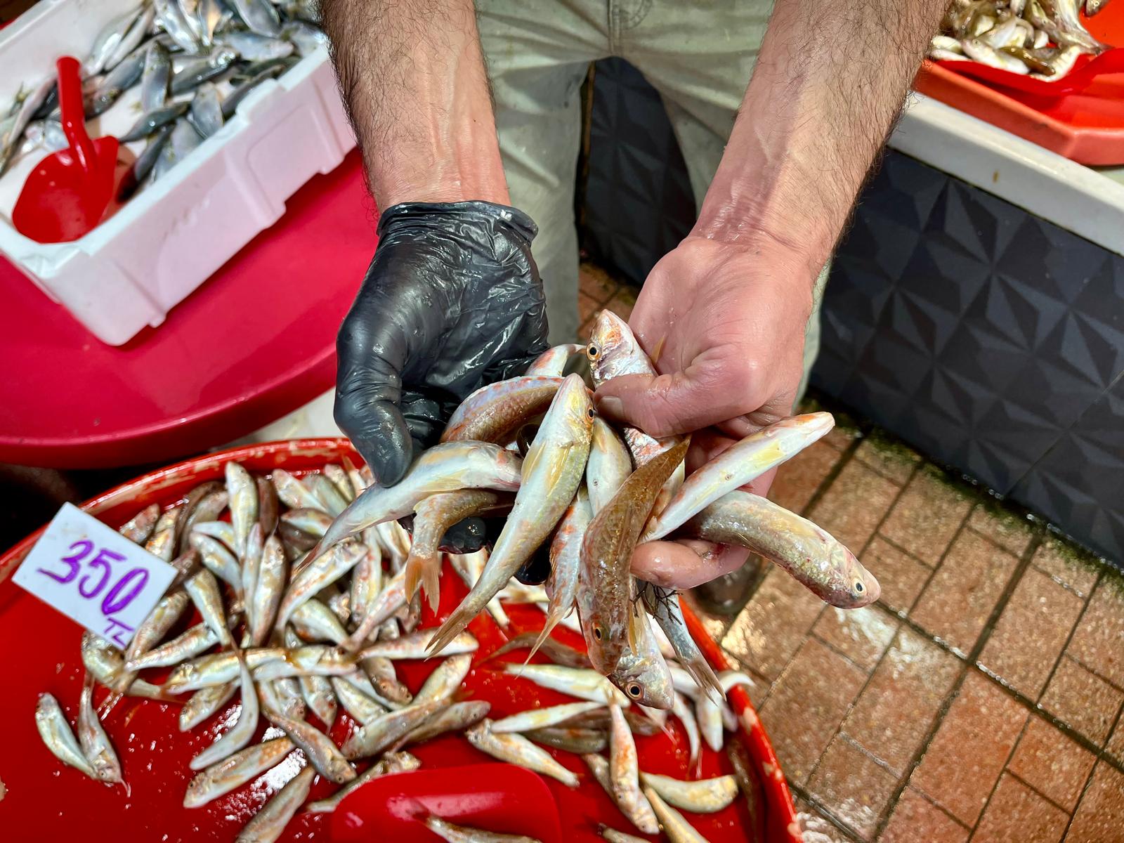 Whatsapp Image 2025 10 23 At 14.50.54 (1)