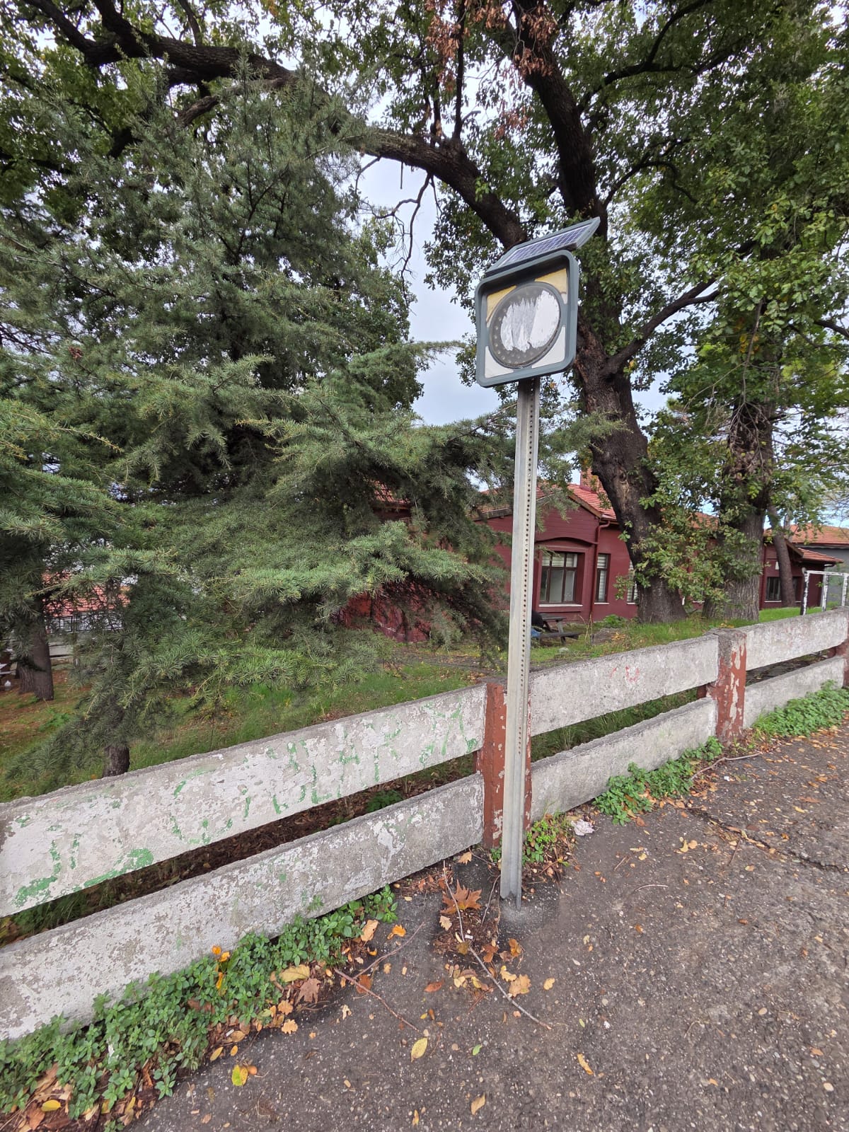 Whatsapp Image 2025 10 28 At 10.55.08 (1)