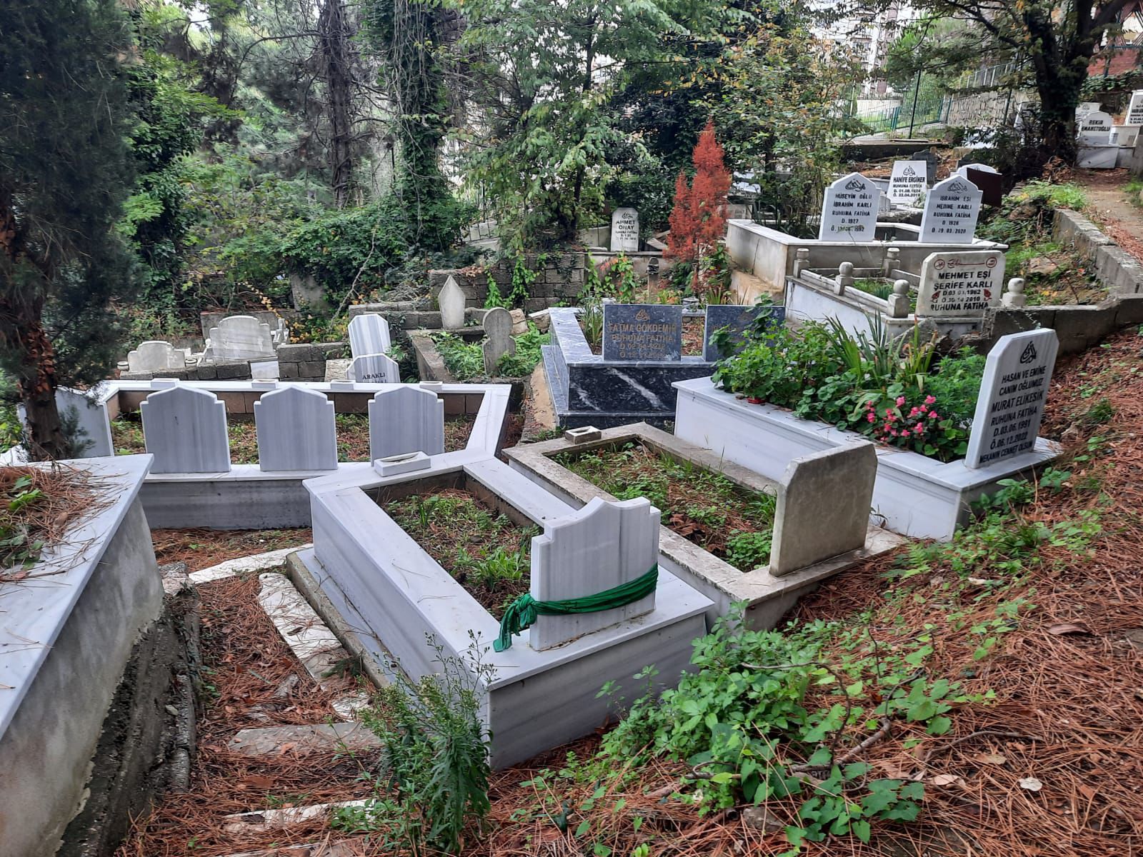 Whatsapp Image 2025 10 28 At 15.40.00 (3)