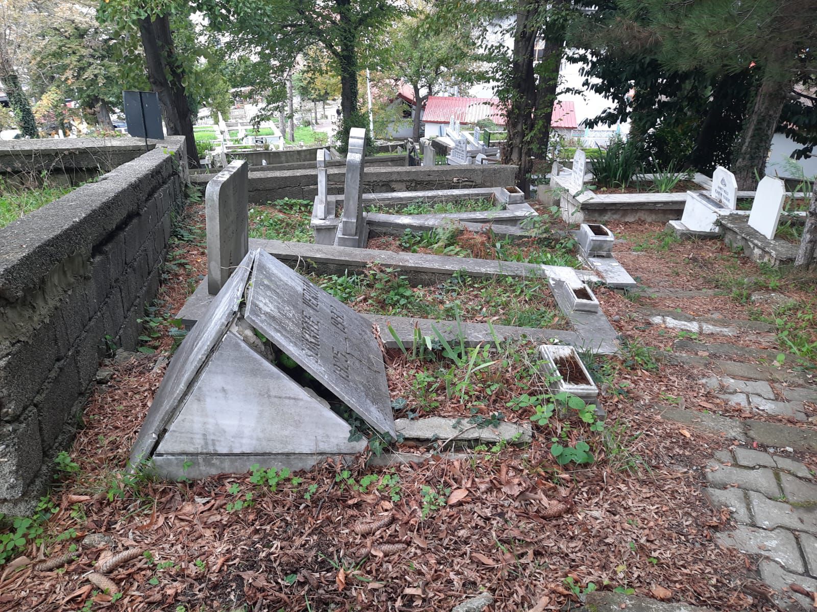 Whatsapp Image 2025 10 28 At 15.40.39 (1)