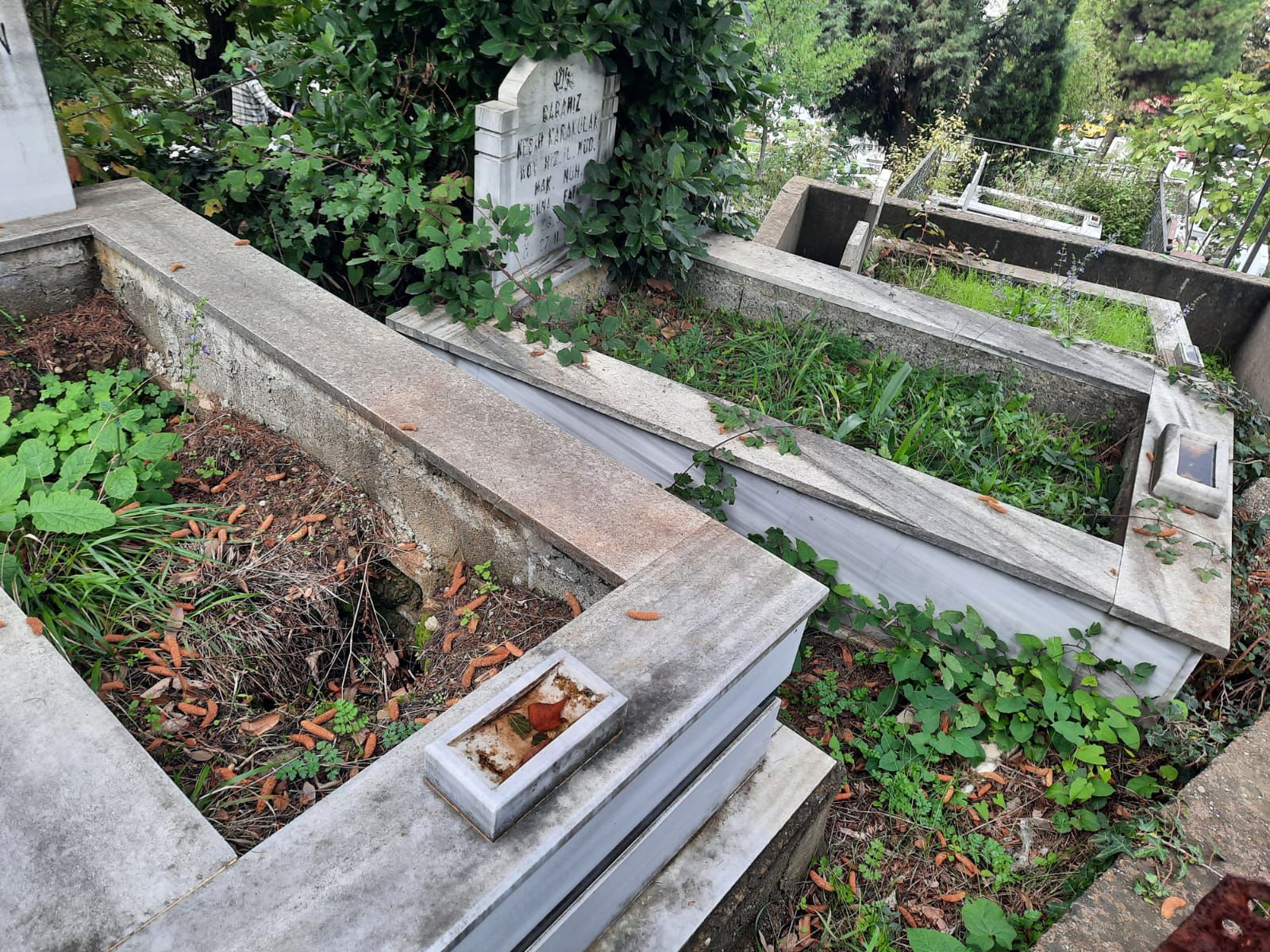 Whatsapp Image 2025 10 28 At 15.40.39