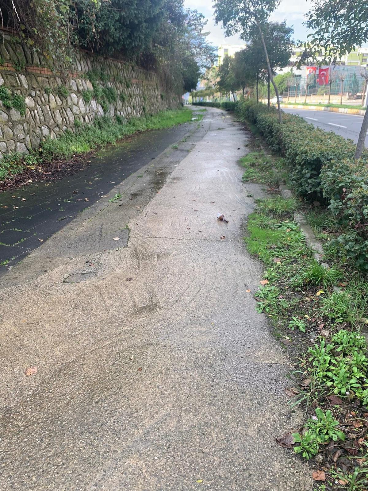 Whatsapp Image 2025 10 30 At 11.33.55 (1)