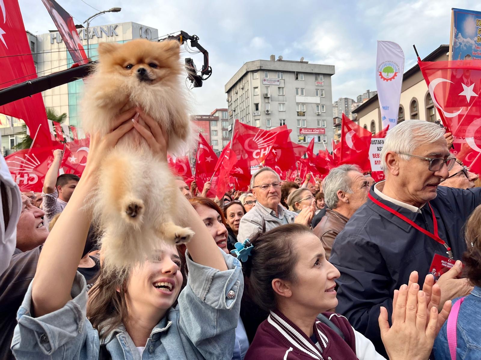 1027Edc7 Fc24 44Ec 9290 973727Add092