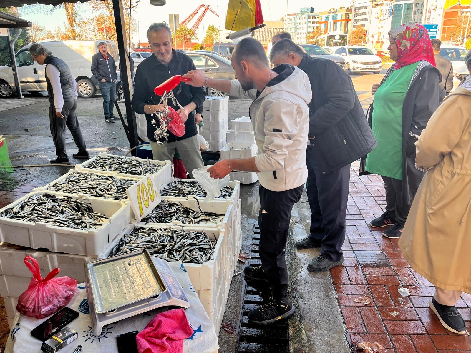 45B3B781 C9Cb 4F55 Adcb 0133695B74Ee