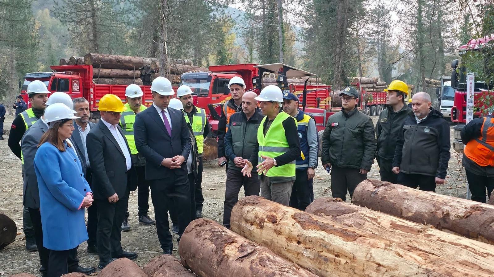 805D0B89 39B6 4Eed Ba34 029108A4C9B7