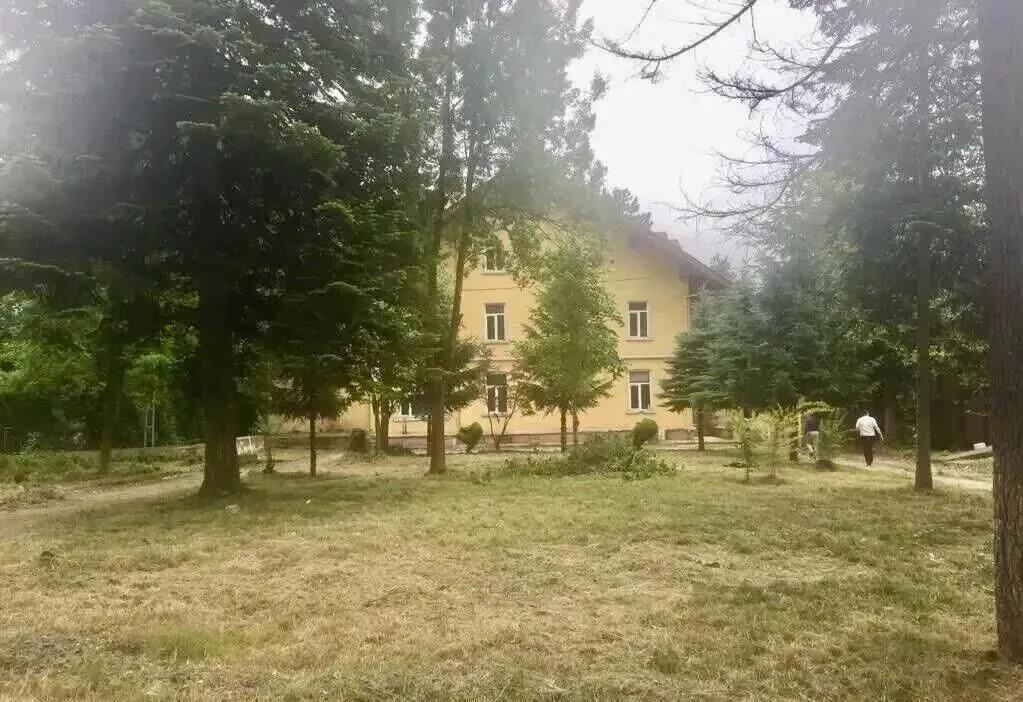 8097A29E D0C0 44A1 8Bc1 82501Bc5F795