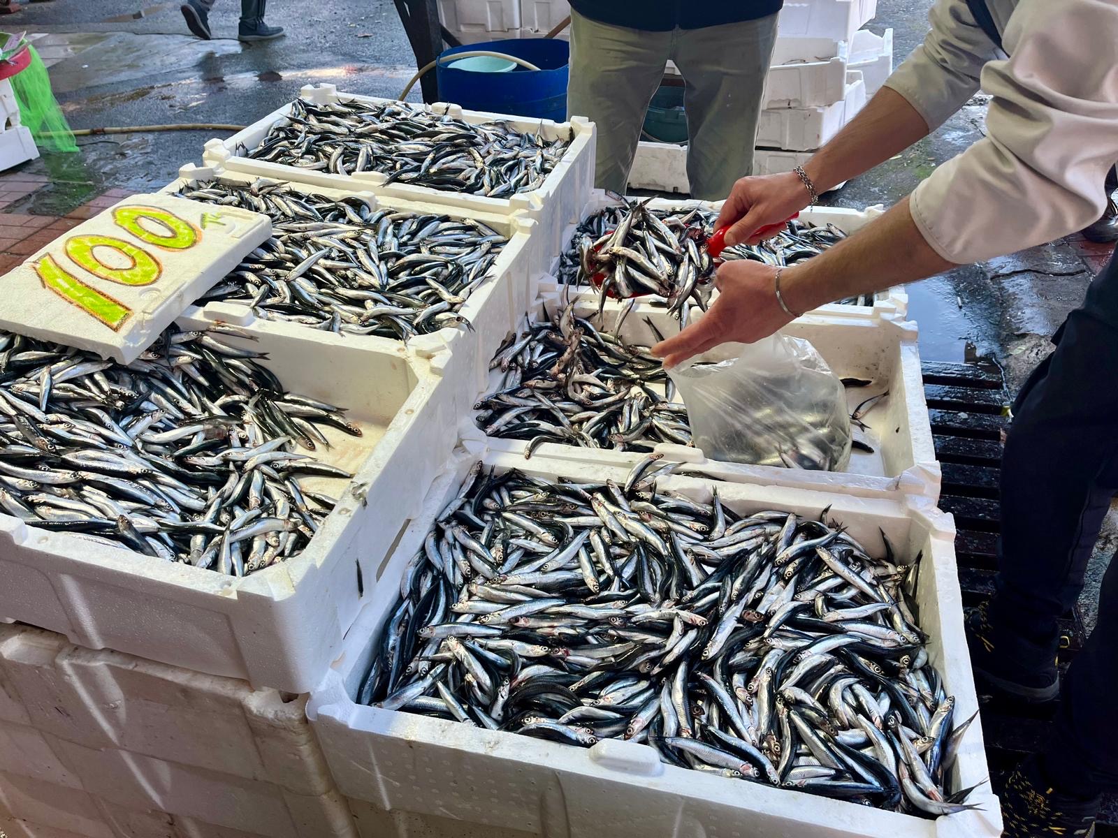 86212Cf0 6Eb5 4D0B A1Bc 1Fc0F75E493E