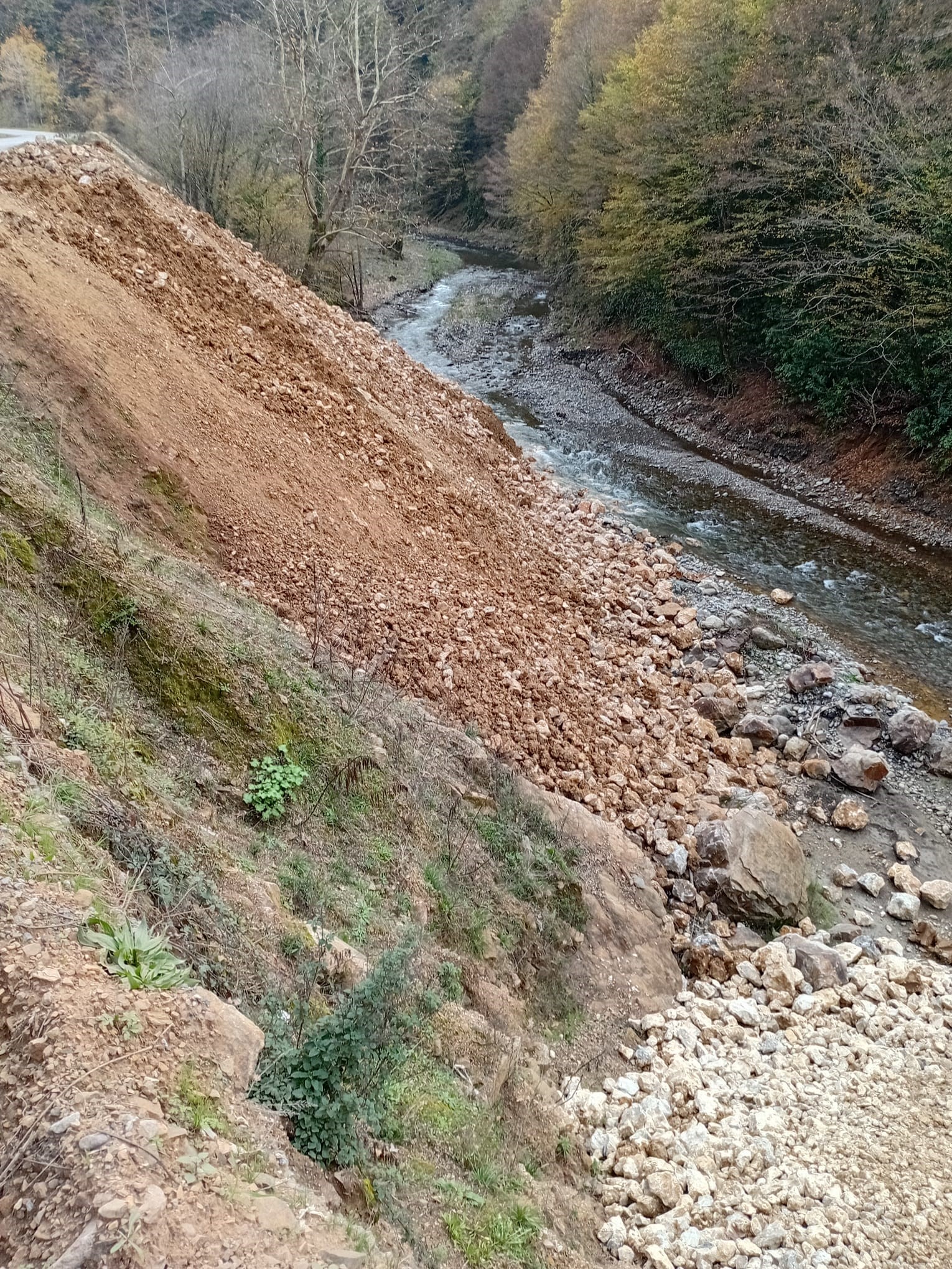 Alaplı'da Çevre Katliamı! İmza Gazetesi̇ (1)