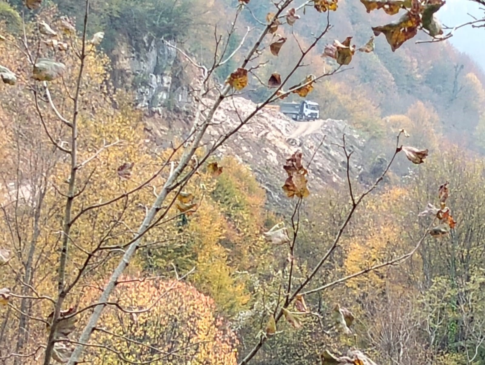 Alaplı'da Çevre Katliamı! İmza Gazetesi̇ (3)