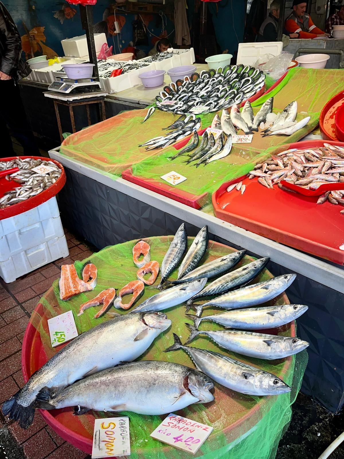 Be1Ebf6E Dcbf 48Bc 9838 Fd655Fdaff63