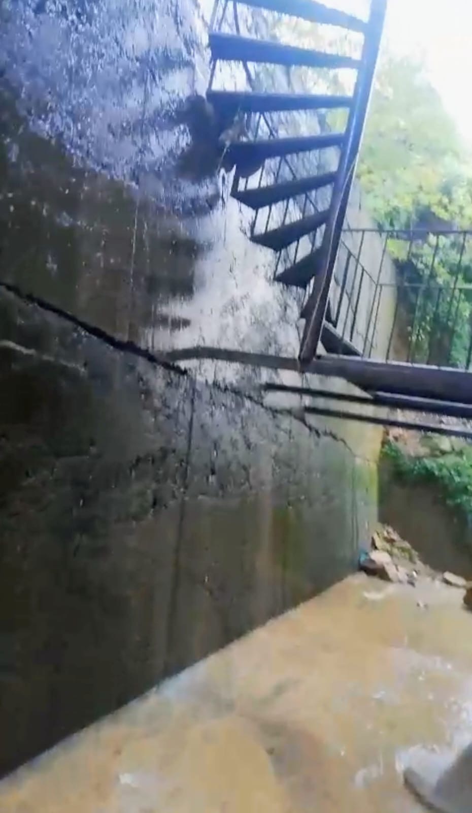 C2D0Ad43 5947 4A19 B589 3F2159E09Ef8