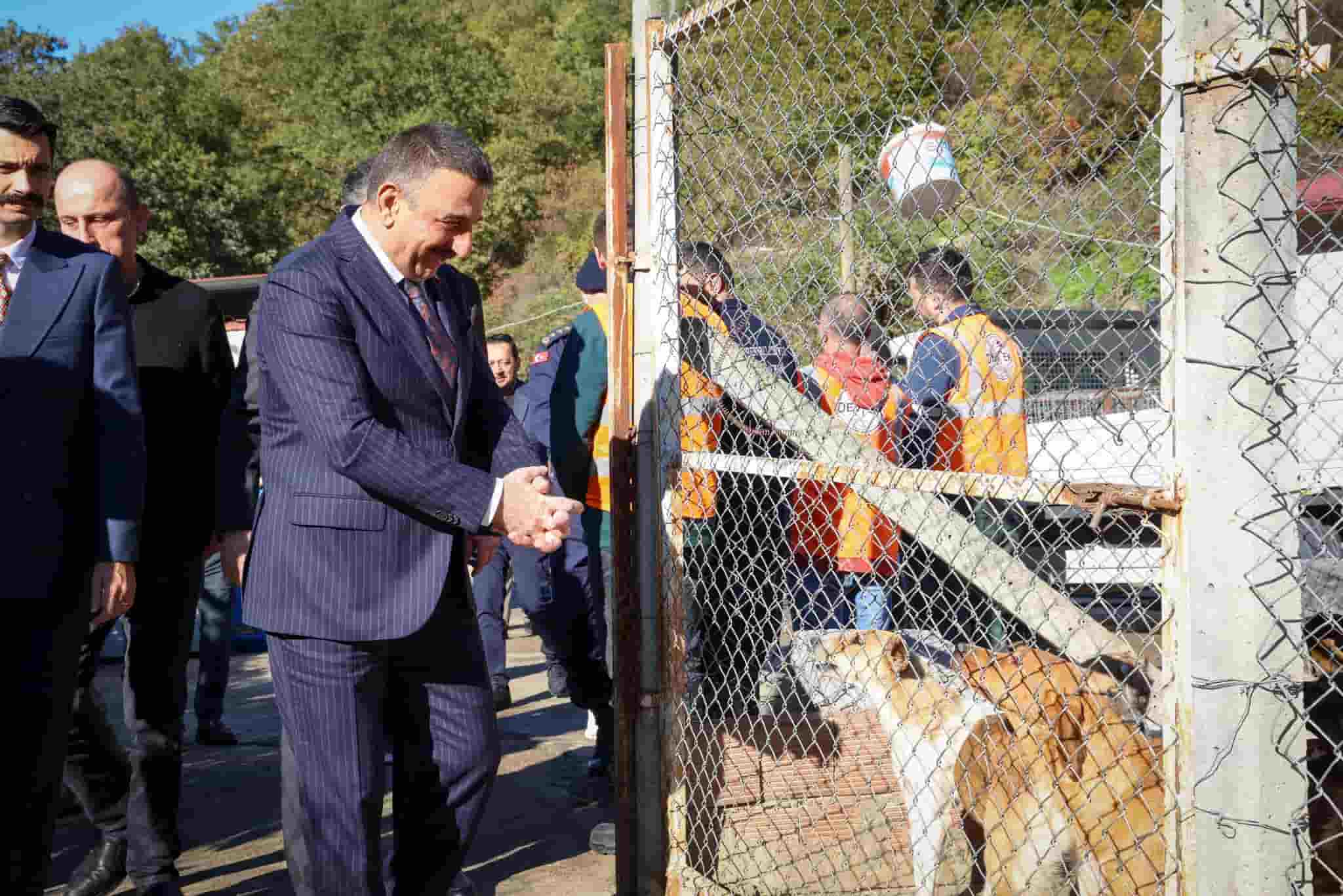 Devrek Hayvan Barınağında Inceleme (2)