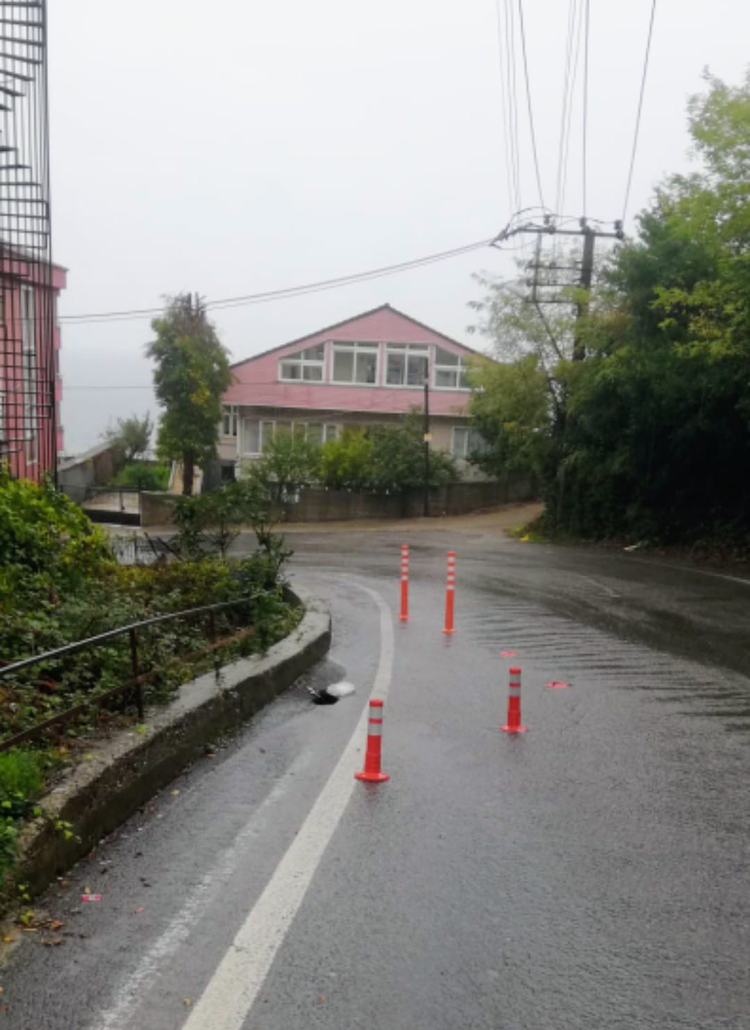 F3618368 8Ed5 4065 A201 57Fa9367E712