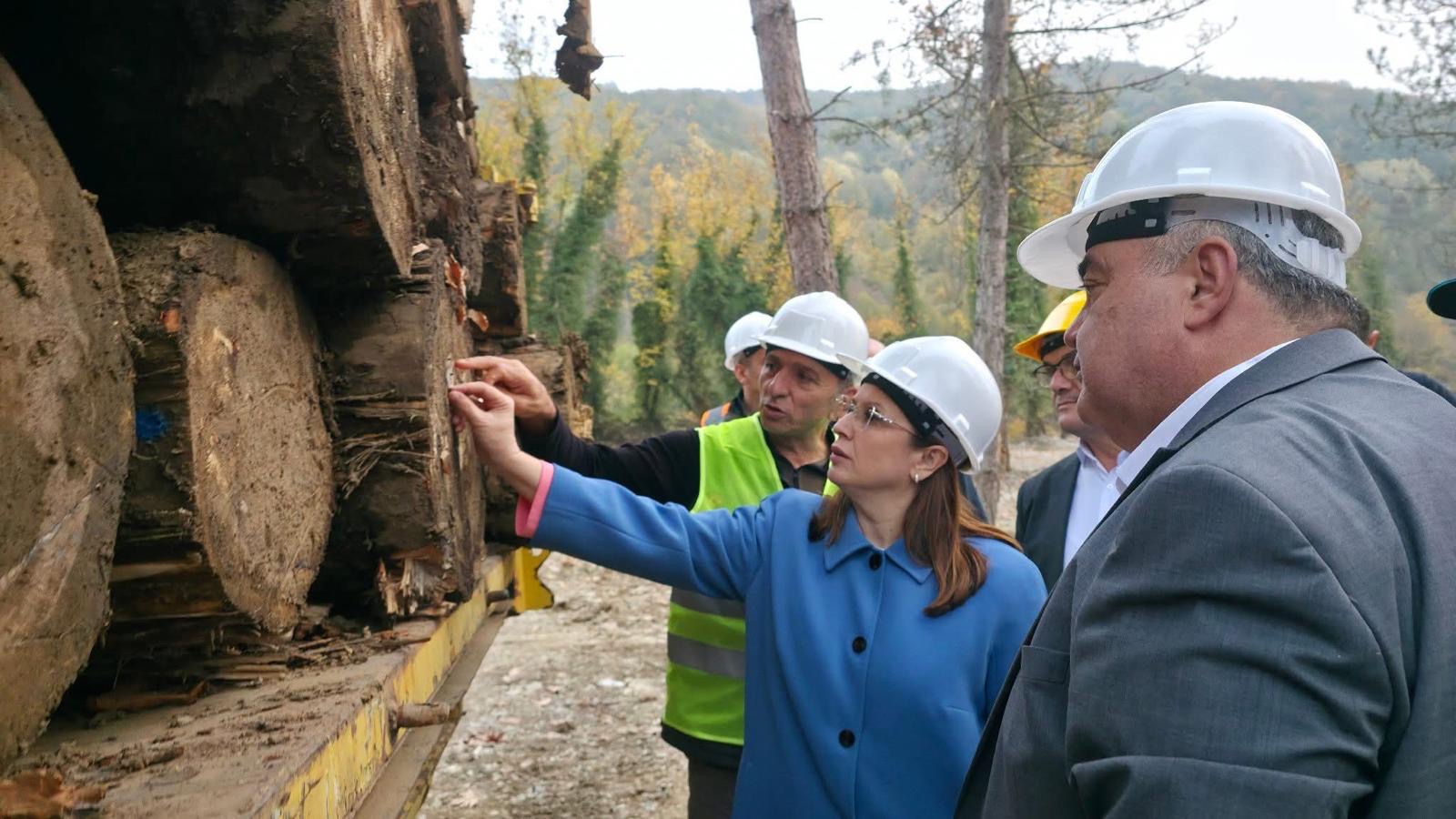 Fb03167A 177B 4B21 862F 13A4840Bee72