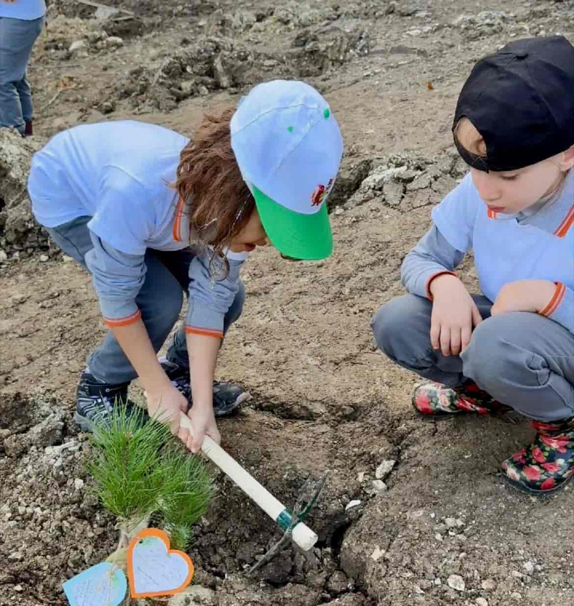 Fidan Diken Minikler Haberi