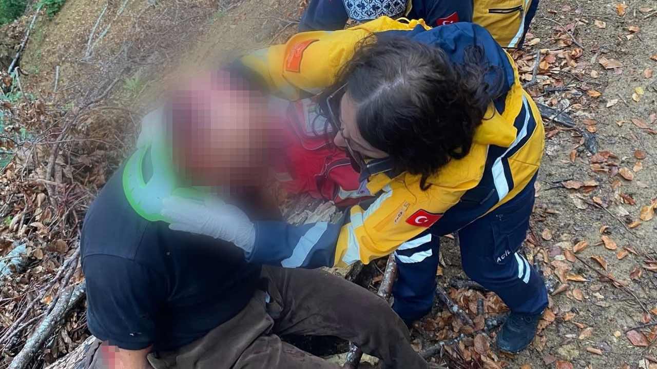 Ormanda Ayı Saldırısına Uğradı İmza Gazetesi̇ (2)