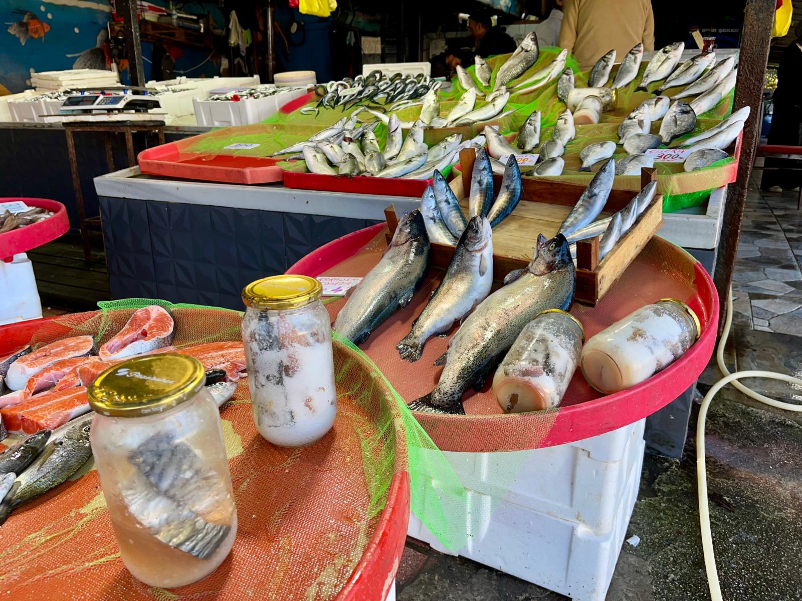 Whatsapp Image 2025 11 01 At 13.59.51