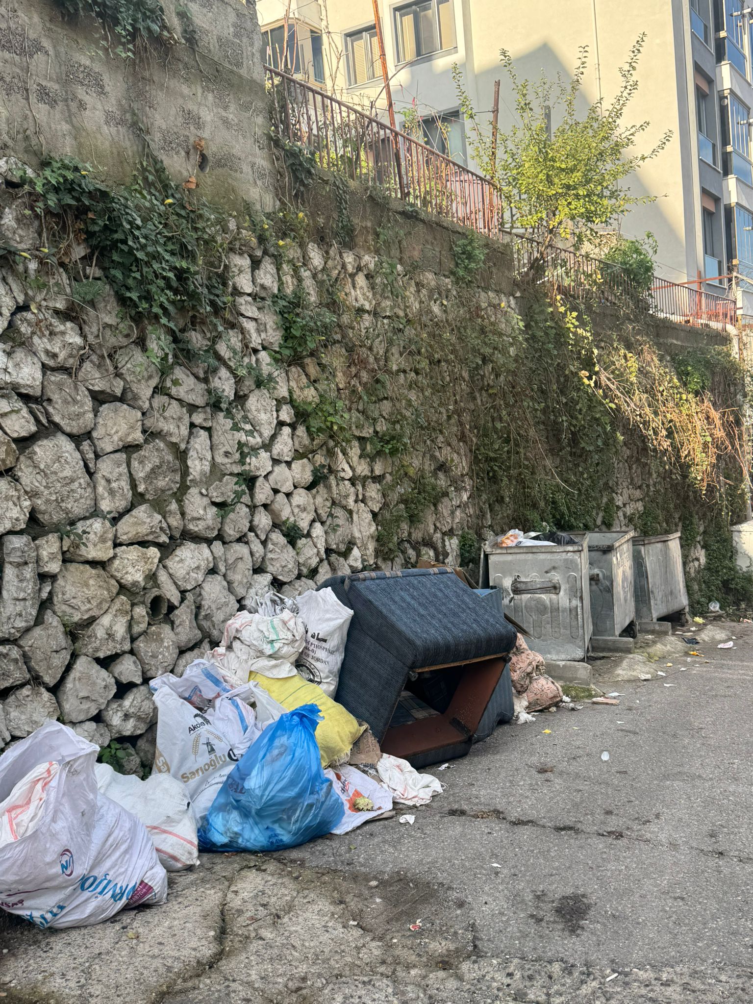 Whatsapp Image 2025 11 03 At 10.22.39