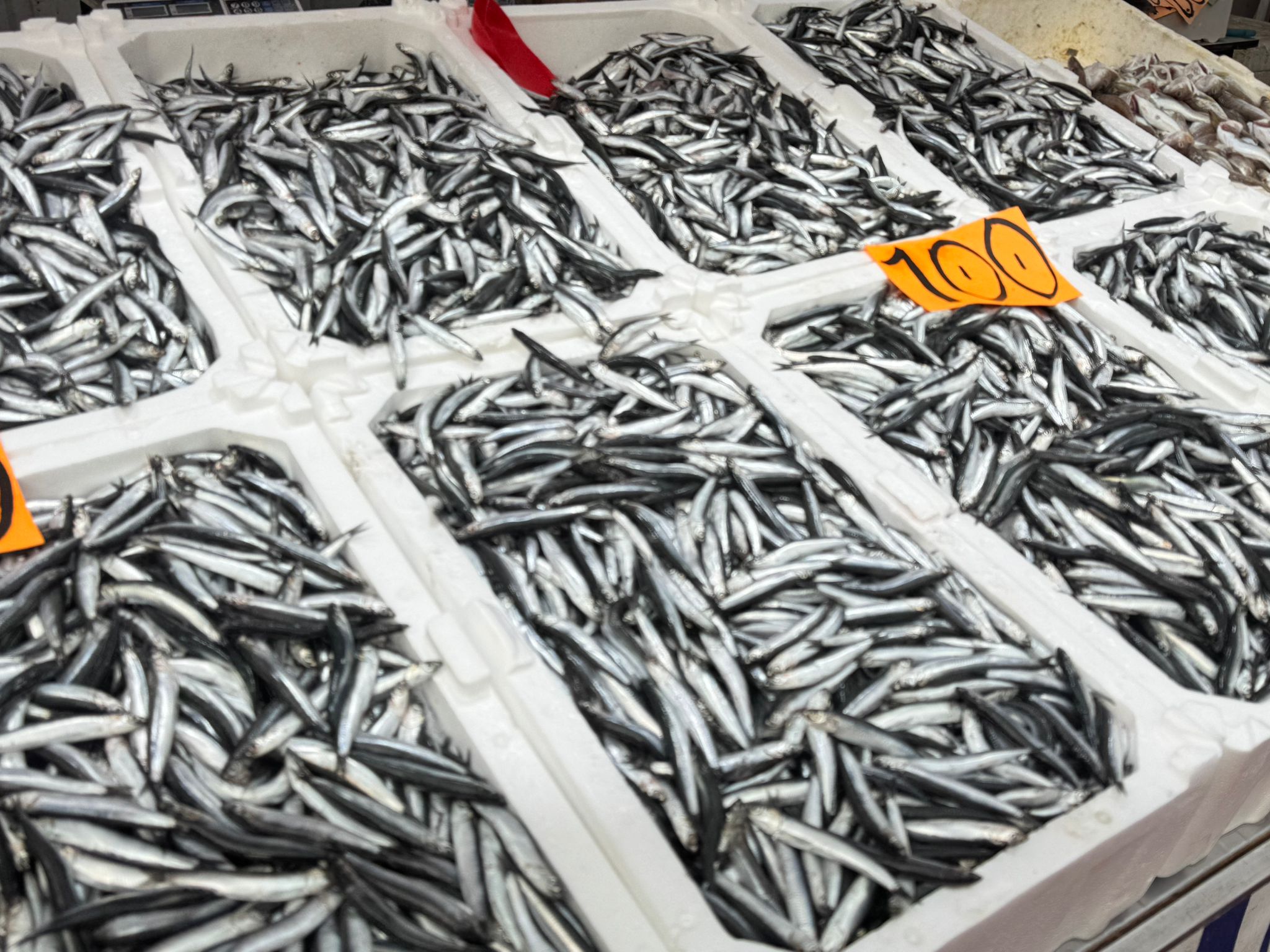 Whatsapp Image 2025 11 06 At 10.40.30