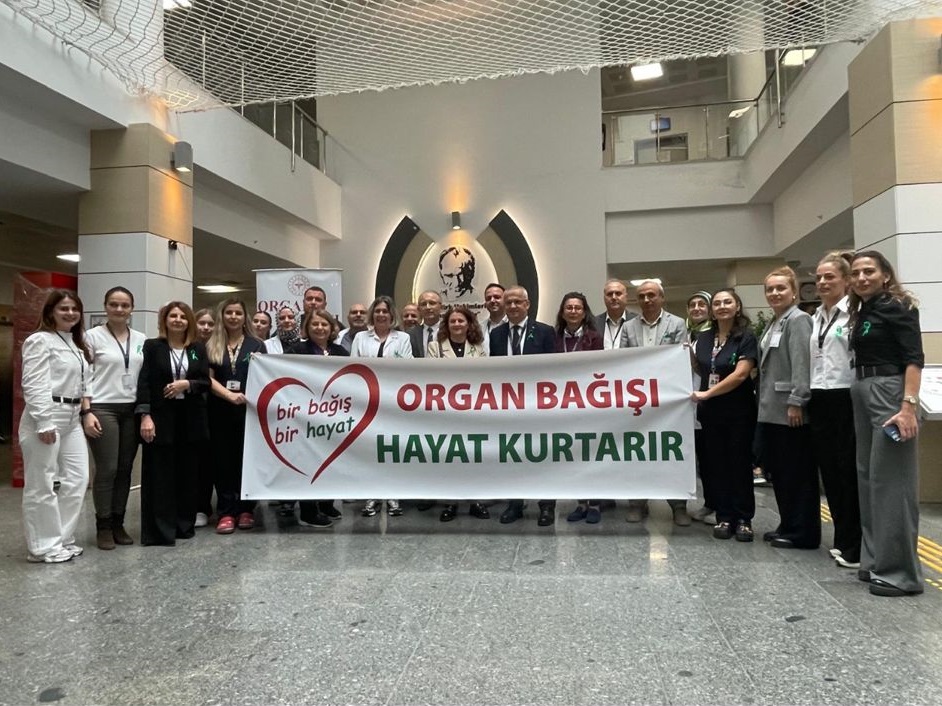 Whatsapp Image 2025 11 06 At 12.16.39