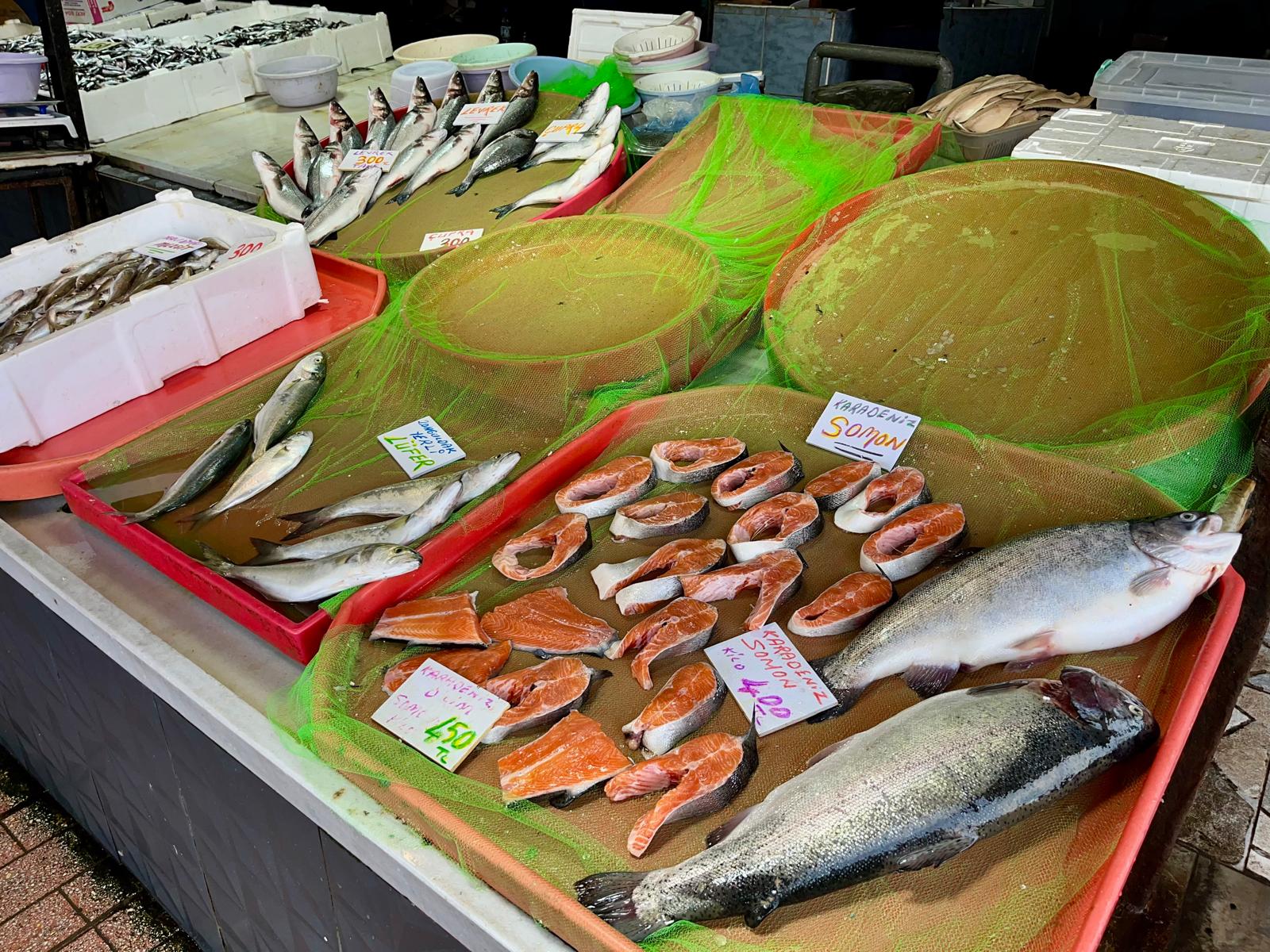 Whatsapp Image 2025 11 07 At 13.04.23 (1)