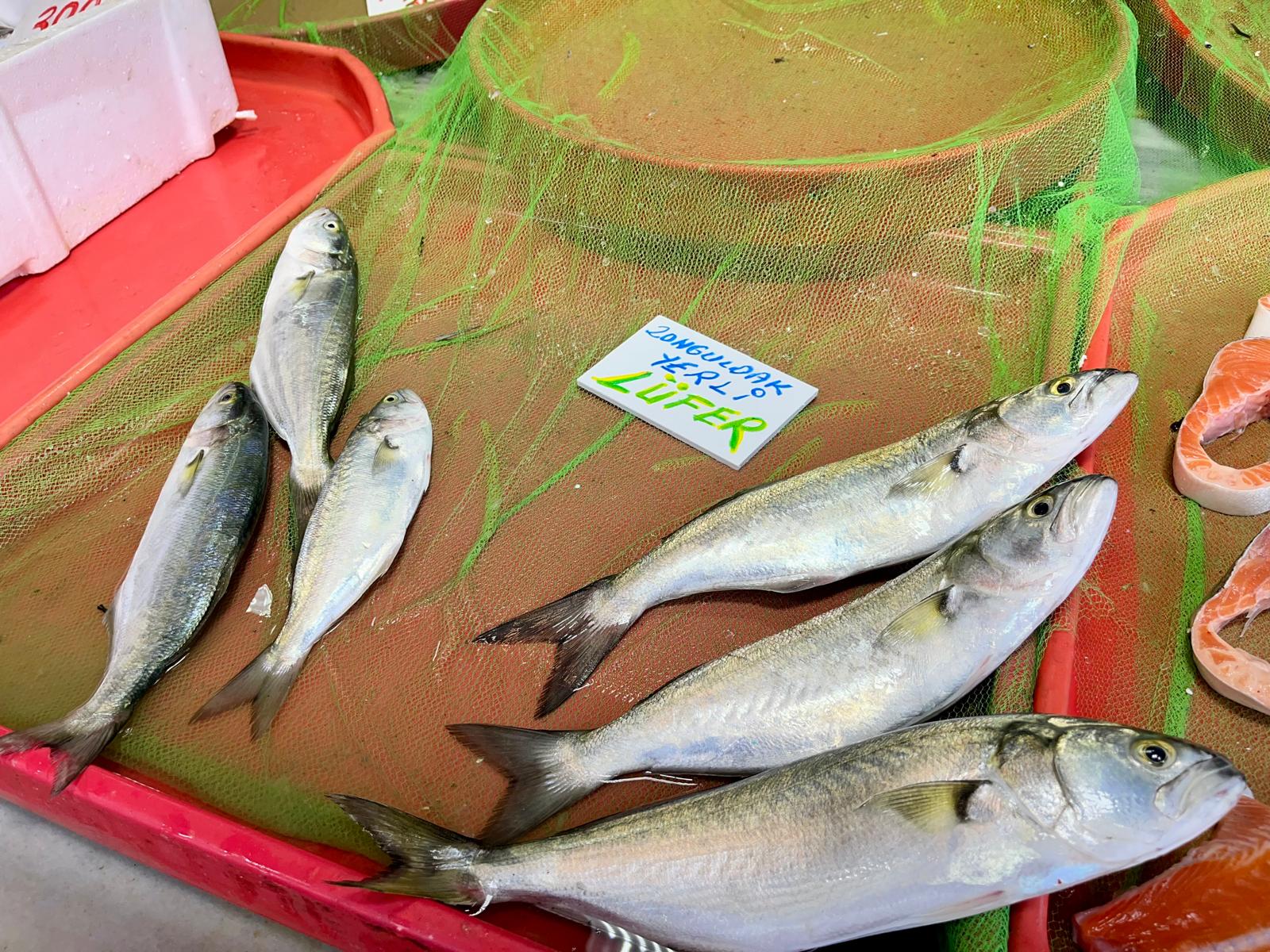 Whatsapp Image 2025 11 07 At 13.04.23 (2)