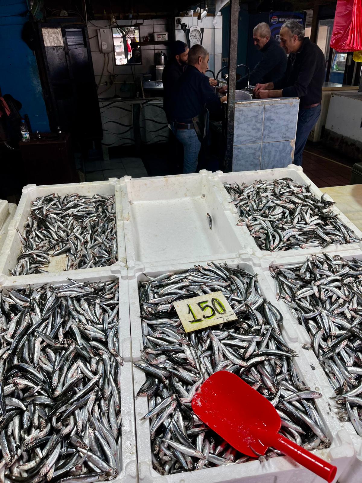 Whatsapp Image 2025 11 07 At 13.04.24