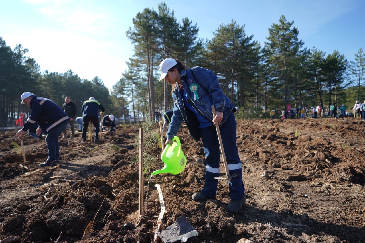 Whatsapp Image 2025 11 12 At 10.37.50