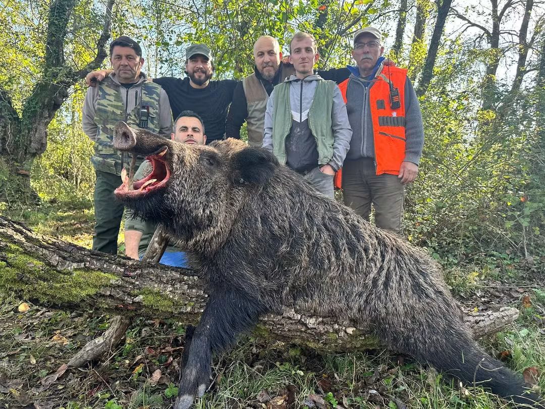 Whatsapp Image 2025 11 20 At 15.32.14 (1)