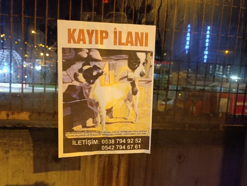 Whatsapp Image 2025 11 27 At 13.43.17