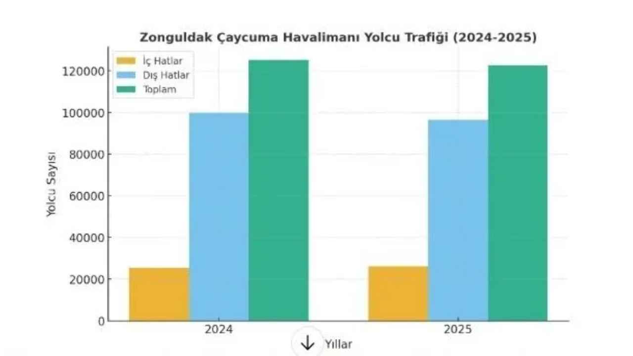 Zonguldak Havaalanı Imza Gazetesi Grafik