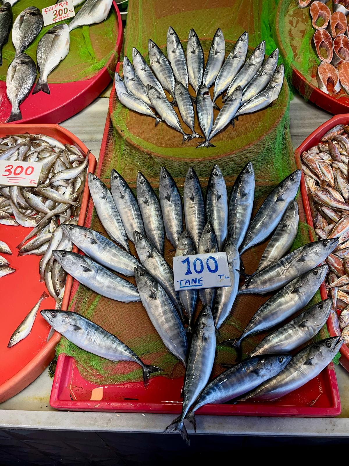 Zonguldak’ta Balik Fi̇yatlari! Imza Gazetesi (3)