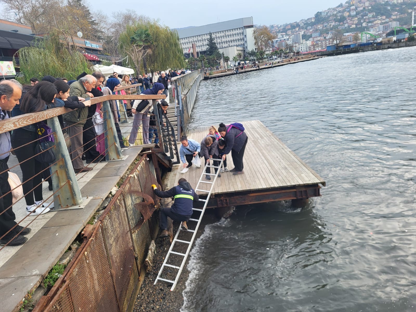 16B2C336 4600 4C90 9Dfe 53D368A3Fd0E