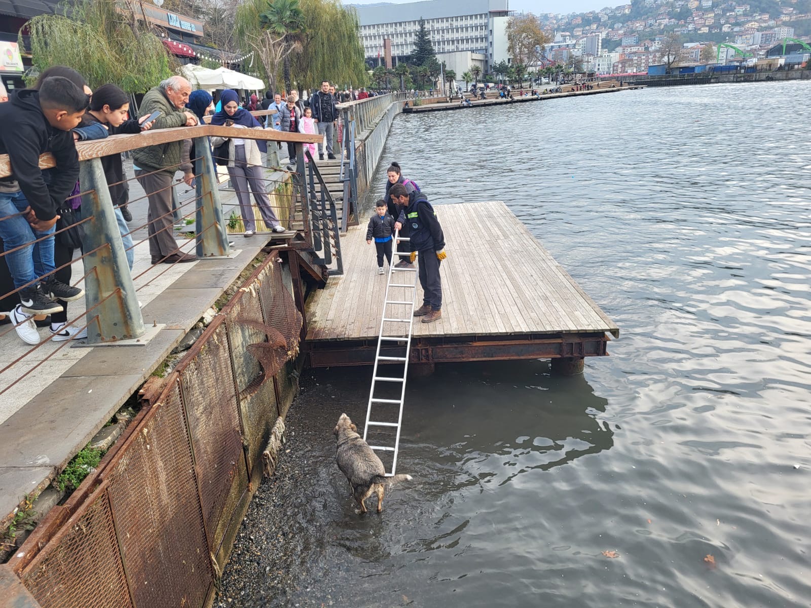 4C868B40 B62F 4459 856D 58B79Eb1F6Ae