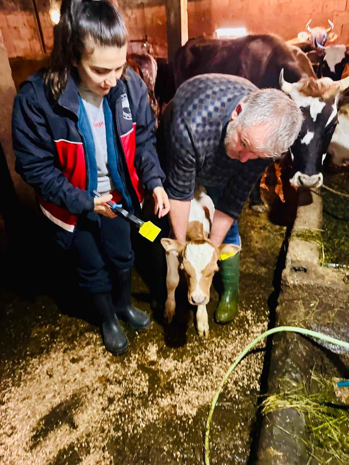 4E1325Be F63B 4B1E A516 2803C468A942